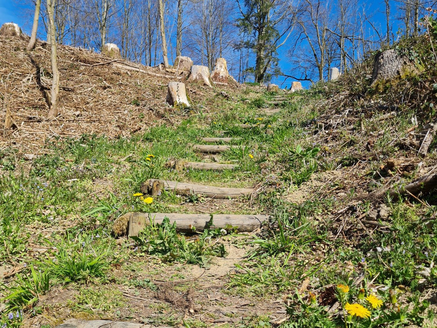 20250412_1115018310827154599409359